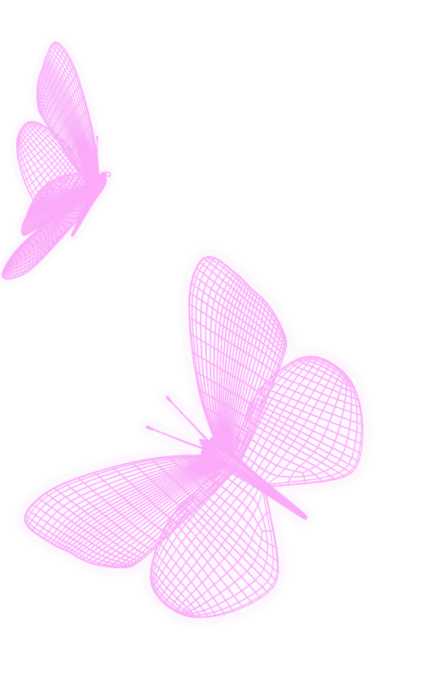 pink butterflies 2