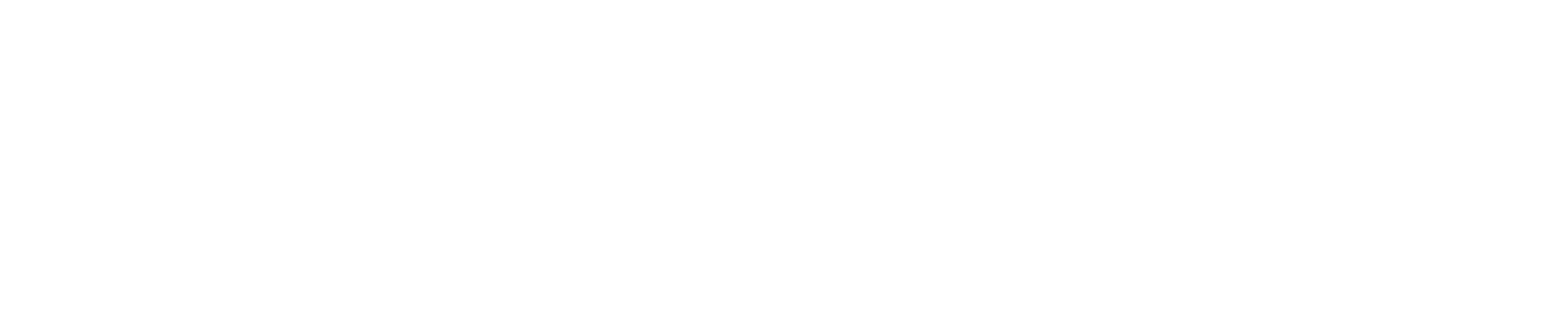 NTT Data White